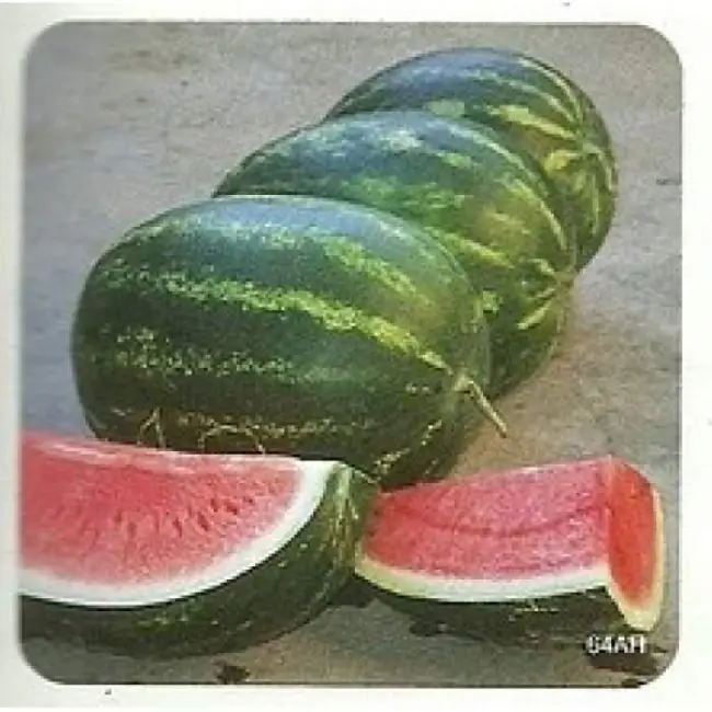 Описание и характеристика сорта