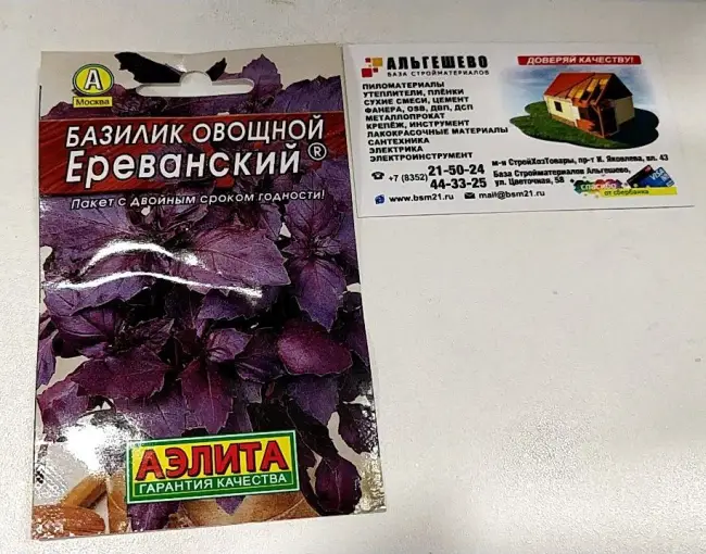 Обзор сортов базилика по различным характеристикам