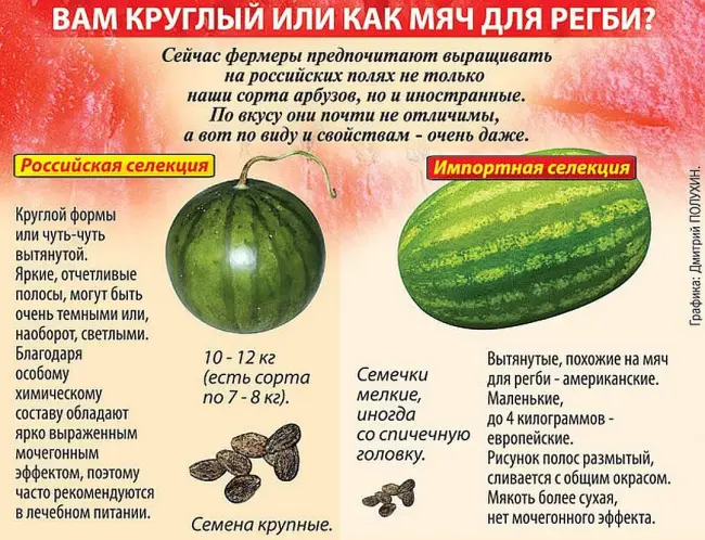Какие арбузы можно закладывать на хранение