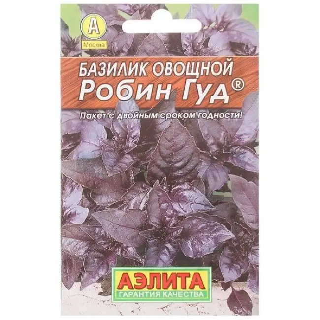 Посадка и уход за базиликом