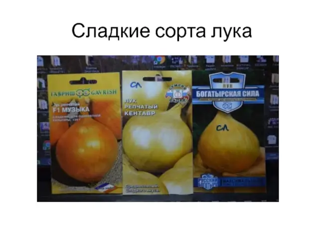 Описание сорта