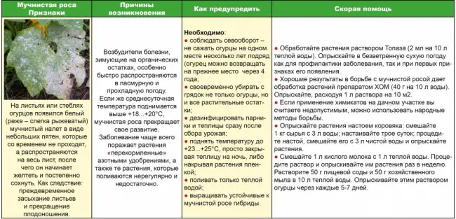 Болезни и вредители — основные виды и методы борьбы