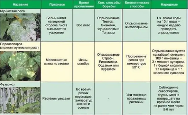 Химические препараты для борьбы с мучнистой росой