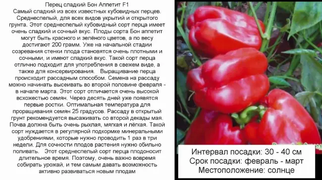 Посадка