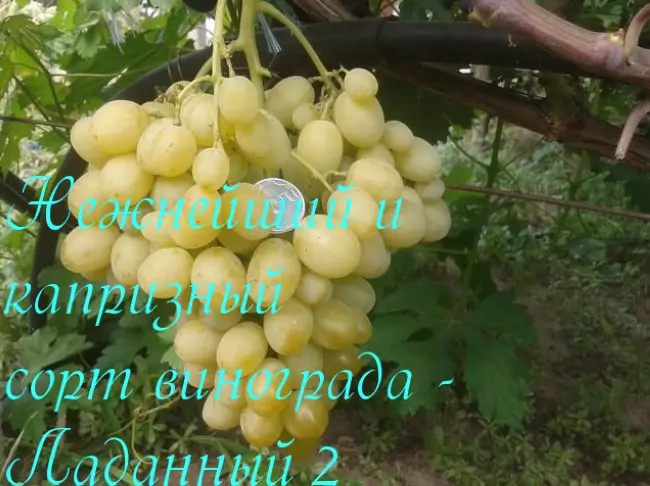 Заключение