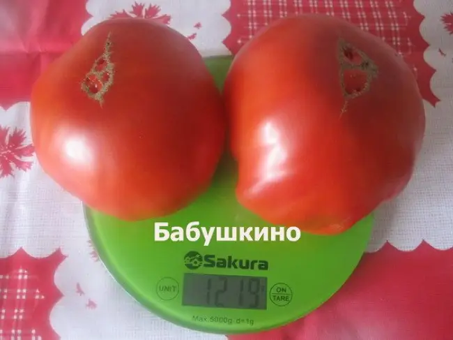 Описание и характеристика сорта томата Бабушкино лукошко, отзывы, фото