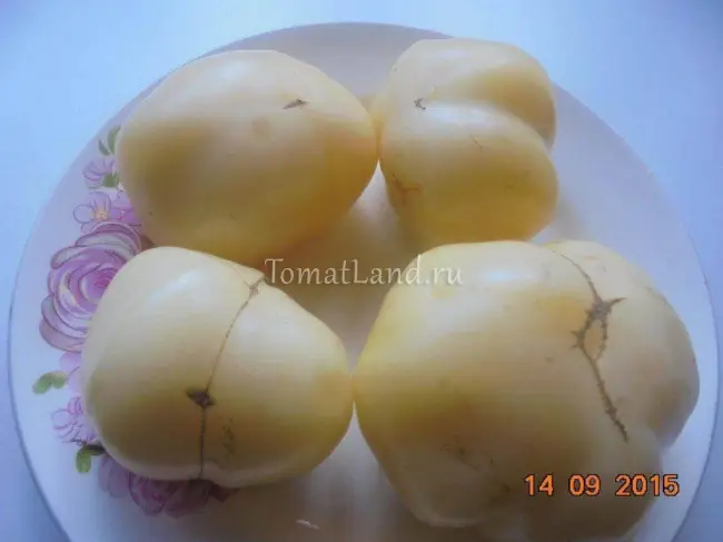 Описание и характеристика томата Белый лотос, отзывы, фото
