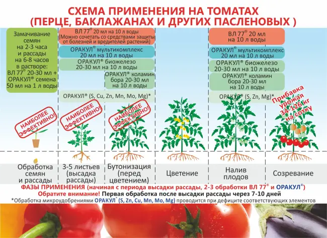 Особенности ухода