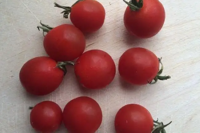 Характеристика помидоров Пальчики оближешь и выращивание сорта