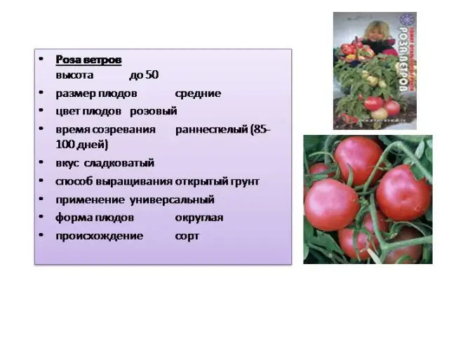 Рейтинг сортов по характеристикам и размерам плодов