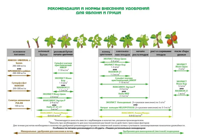 Правила внесения удобрений летом