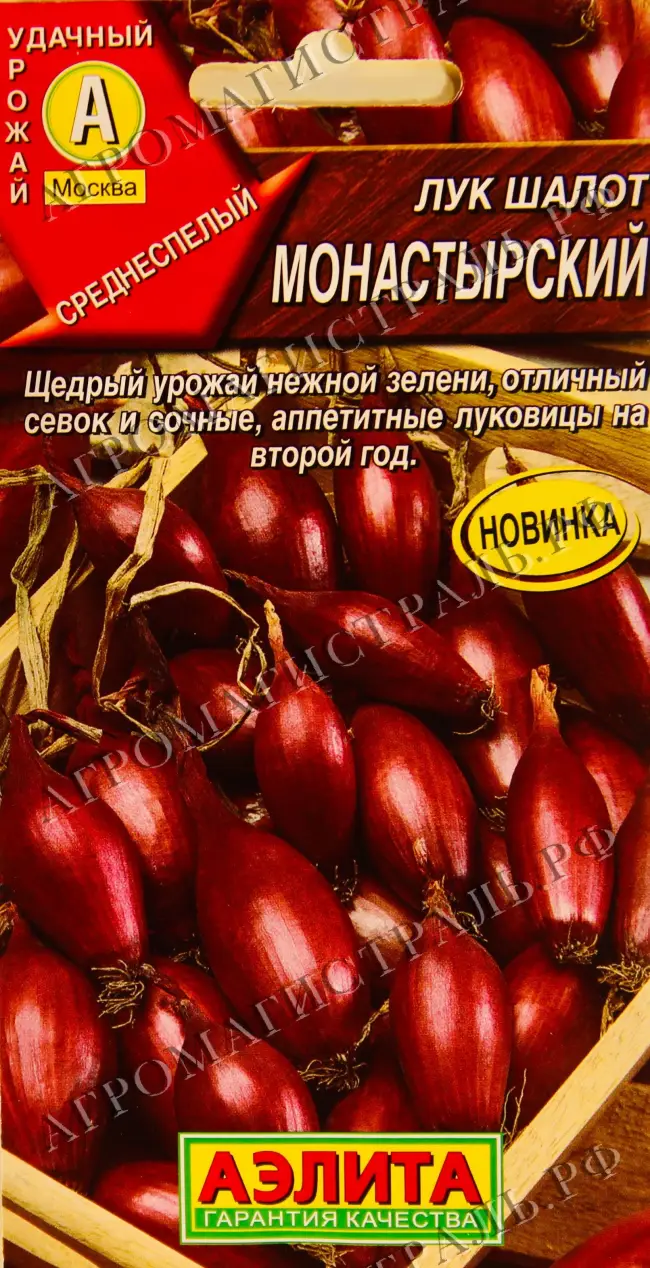 Описание лука-шалота