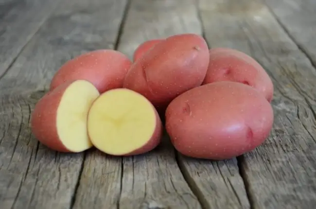Характеристика сорта картофеля Ирбитский