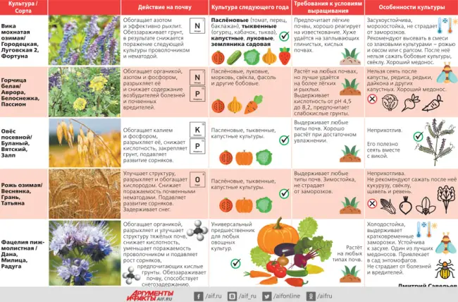 Вика как сидерат — когда сеять и заделывать в почву — Сад 6 соток