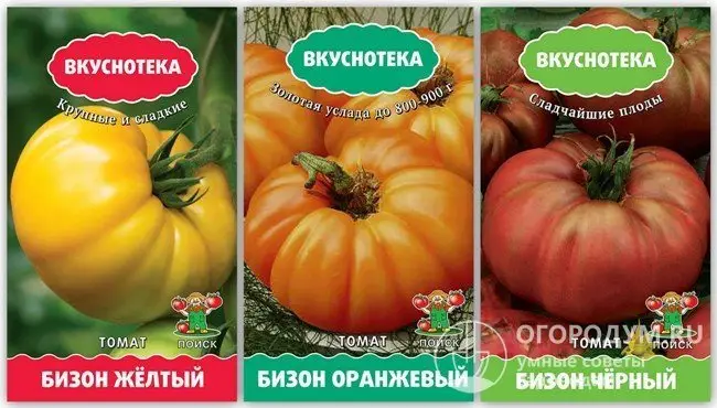 Описание томатов сорта Бизон и его разновидности с фото