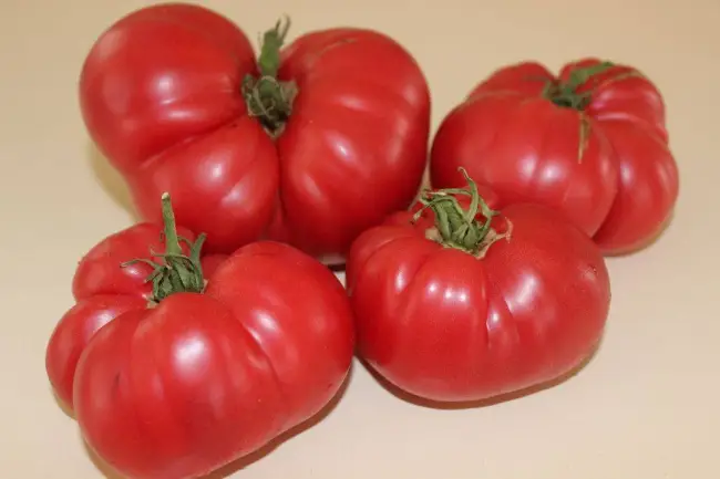 Описание сорта томата Валютный, отзывы, фото