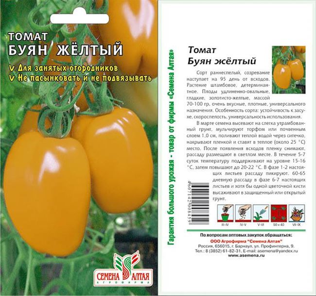 Томат «Буян» («Боец»): фото касного и желтого сорта, описание и основные характеристики помидоры Русский фермер