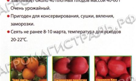 Сделала обзор томатов Тарасенко и узнала, какие сорта ему приписывают