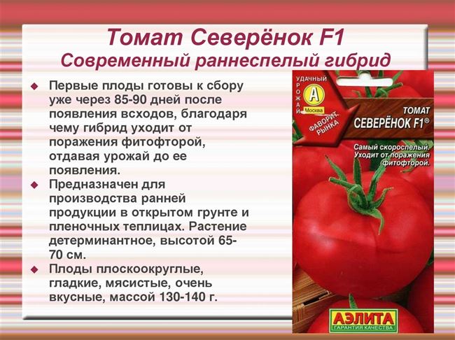 Описание и характеристика томата Викуся F1, отзывы, фото