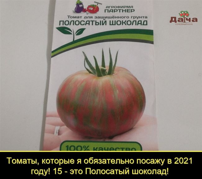 Описание и характеристика сорта томатов Полосатый шоколад, их урожайность