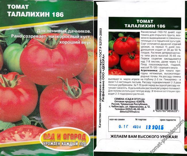 Описание сорта томата Дачный любимец, его характеристика и урожайность