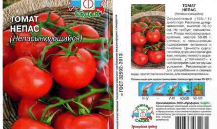 Характеристика томатов сорта непас