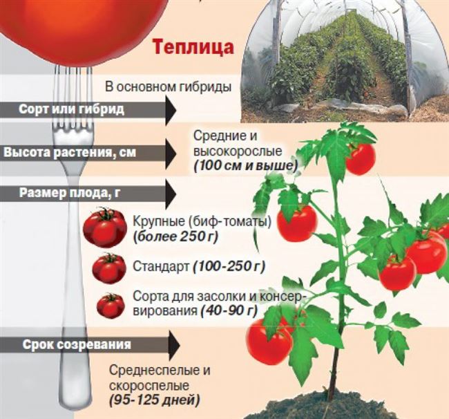 Уход за кустами