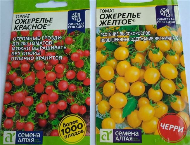 Томат-праздник! В нем прекрасно все: и цвет, и вкус, и урожайность.Мы называем его тысячеплодником. С