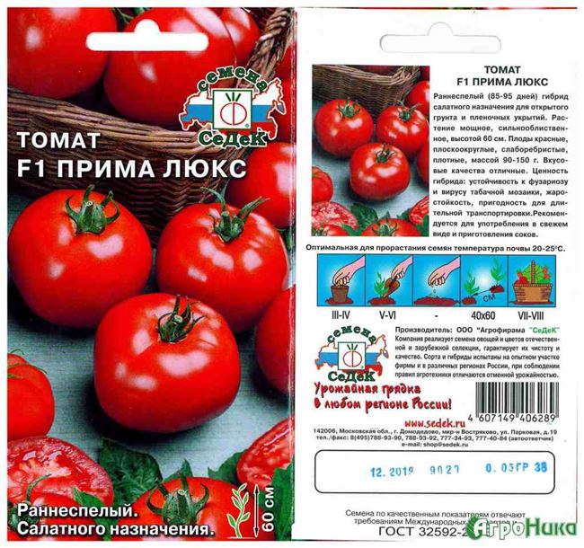 Компания