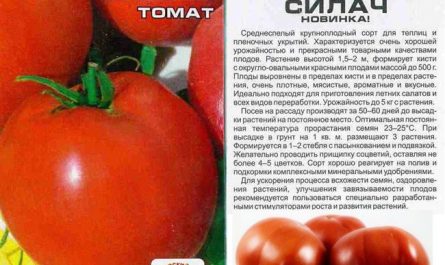 Томат Ред Харвест F1 — описание сорта, фото, урожайность и отзывы садоводов