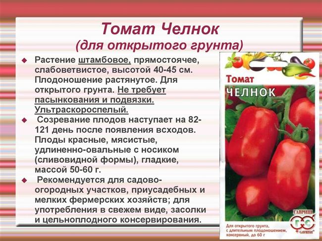 Основная характеристика ультраранних сортов томатов