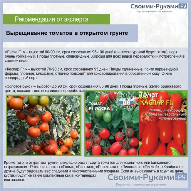  Выращивание и уход за культурой 