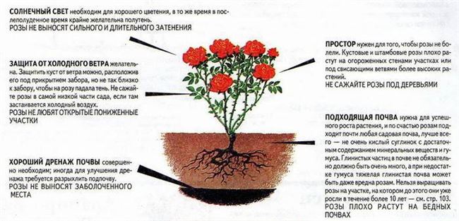 Посадка – шаг за шагом