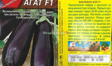 Баклажан Агат F1