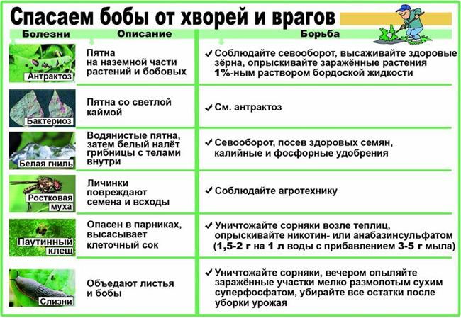 Удобрение и подкормка