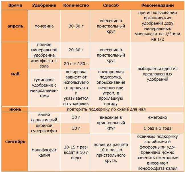 Способ 3: Суперфосфатом и древесной золой