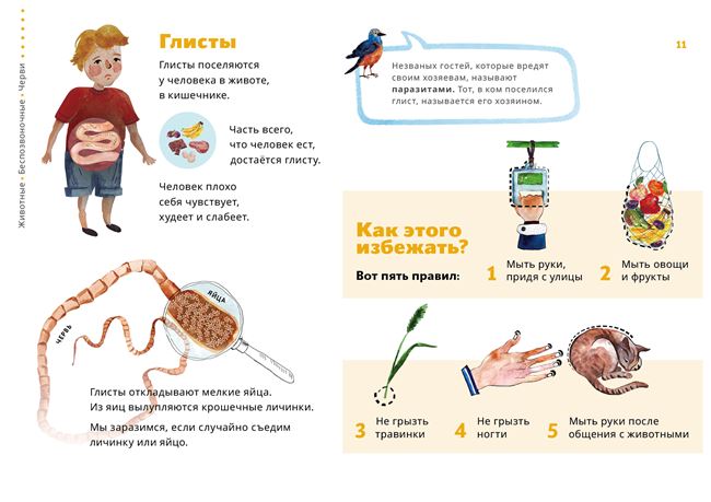 Как избежать глистных инвазий: профилактика глистов?