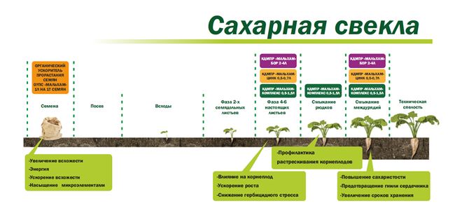 Специфика внесения удобрений