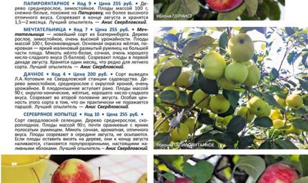 Описание и характеристики яблонь сорта Августа, выращивание, посадка и уход