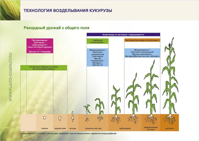 Посадка