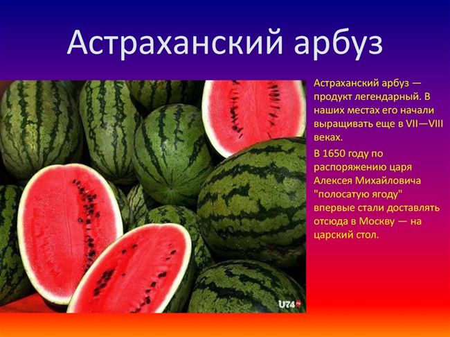 Описание сорта арбуза Астраханский