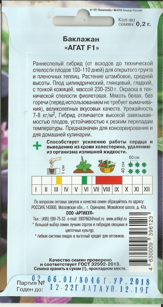 Бактерии