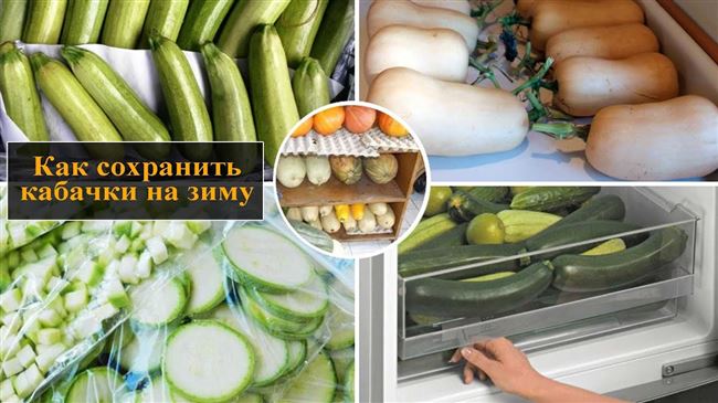 Хранение овощей в морозильной камере