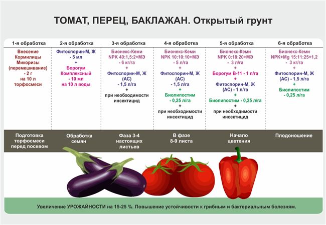 Оптимальные сроки