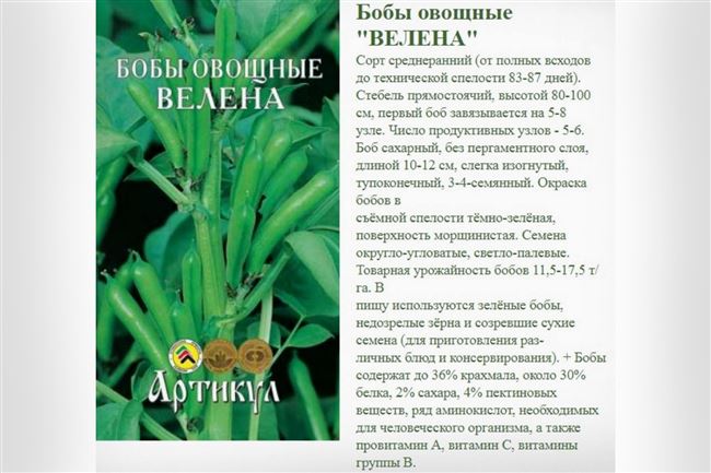 Сорта овощных бобов – фото и описание