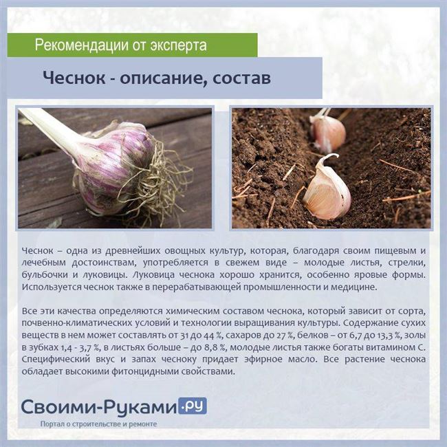 Про овощи - технология выращивания, агротехника, советы,отзывы