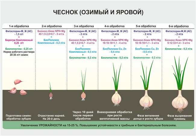 Характеристика