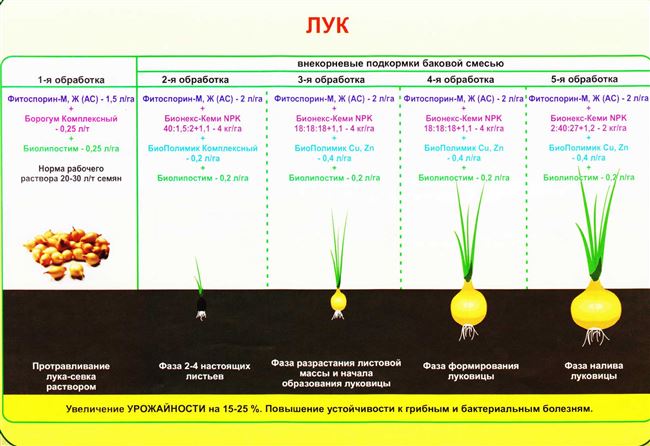 Про овощи - технология выращивания, агротехника, советы,отзывы