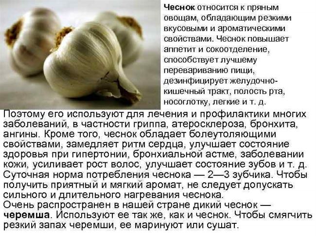 Описание и происхождение культуры