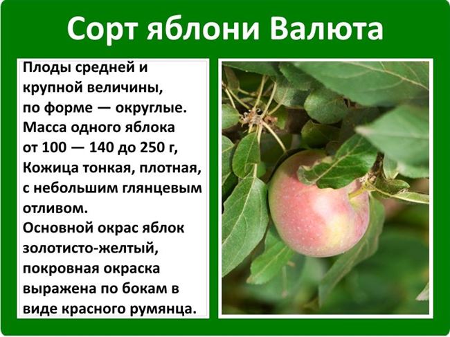 Посадка
